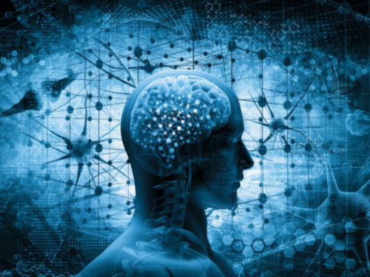 Phòng ngừa suy giảm trí nhớ từ sớm