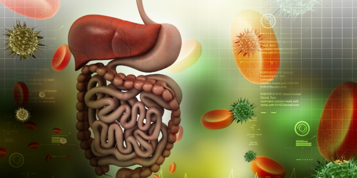 Detox cơ thể không nhịn ăn – xu hướng mới 2026