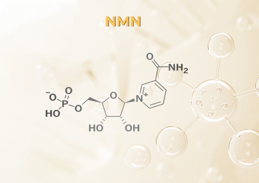 NMN là gì? Vì sao được giới khoa học quan tâm?